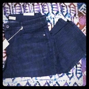 New!! J. Jill Smooth Fit Denim Jeans